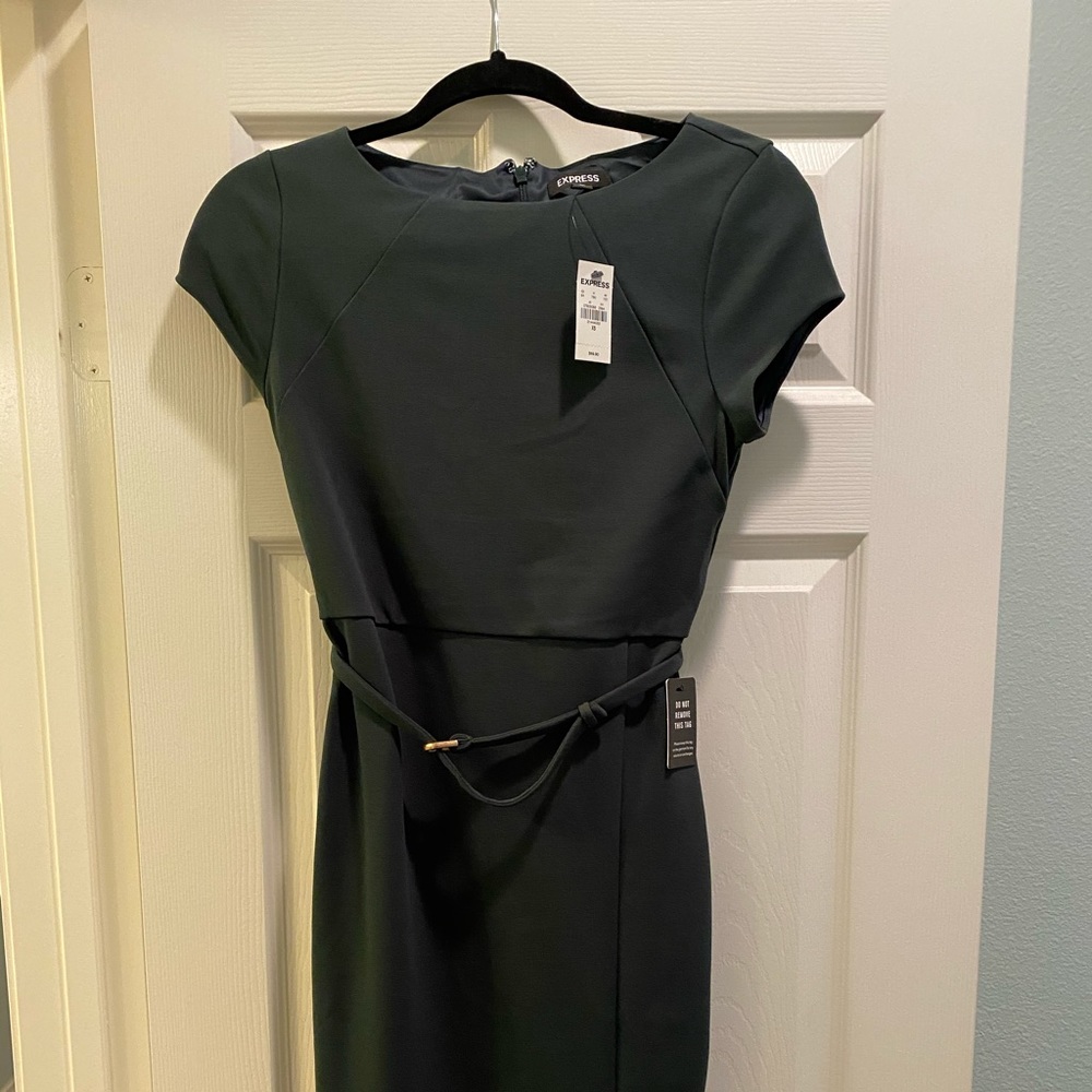 EXPRESS Belted seamed sheath dress. Green.